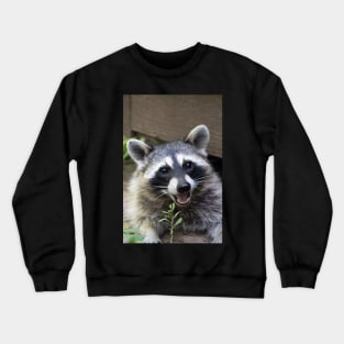 Smiling Raccoon! Crewneck Sweatshirt